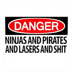 Leyland Designs Ninjas and Pirates and Lasers, Oh My! Bumper Sticker Window Water Bottle Decal 5