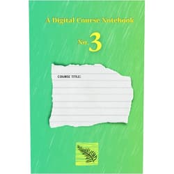 By Alon Goldstein-Chayun (Author) A Digital Course Notebook: No. 3