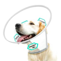 Supet Dog Cone for Dogs After Surgery, Soft Dog Cones for Large Medium Dogs, Comfortable Dog Cone Collar to Stop Licking, Adjustable Pet Recovery Collar for Small Dogs with Soft Protect Edge Word M