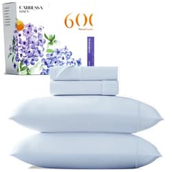 Carressa Linen Luxury Egyptian Cotton 4 PC Queen Size Sheet Set - 600 Thread Count Deep Pocket Fitted and Flat Sheets, Soft, Cooling Extra Long Staple Hotel Bedding with Sateen Weave - Sky Blue
