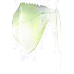 Missile Baits Shockwave 3.5 Purple Pearl Top W/Chartreuse Stripe and Pearl White Bottom