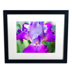 Trademark Fine Art MFG0023-B1620MF Glowing Iris by PIPA Fine Art, White Matte, Black Frame 16x20-Inch, 16x20