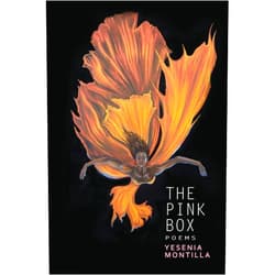 Yesenia Montilla,Randall Horton The Pink Box (Willow Books Emerging Poets & Writers)