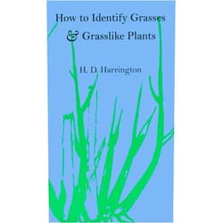By H.D. Harrington (Author), H. D. Harrington (Author) How to Identify Grasses and Grasslike Plants: Sedges and Rushes