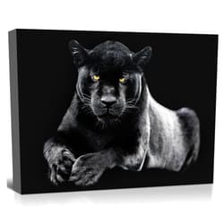 OOLAHLAH Black & White Panther Canvas Wall Art Wildlife Animal Pictures Prints Wild Leopard wIth Yellow Eyes Paintings Modern Framed Artwork for Living Room Bedroom Bathroom Office Decorations 12