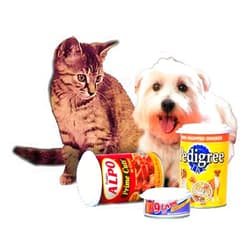 Smartwares Petfood Saver Can Cap 6pack, Reusable, Plastic, Secure Snap Seal, Food Safe, BPA Free, Made in USA (Assorted)