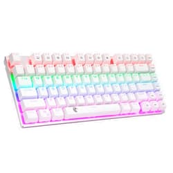 HUO JI 65% Mechanical Gaming Keyboard, E-Yooso Z-88 with Blue Switches Metal Panel Rainbow LED Backlit, Compact 81 Keys, Silver and White