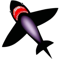 HENGDA KITE Shark Kite, Simple and Practical Design, Easy to Assemble and Fly, Suitable for Kids and Adults, Beach, Park, Yard, 49x53in