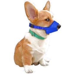 Parts Express Dog Muzzle, Soft Anti-Biting Barking Chewing Muzzle, Breathable Waterproof Adjustable Muzzle for Small Medium Dogs,Blue (XXS)