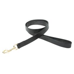 Shires Digby & Fox Flat Leather Dog Lead (Black, Large)