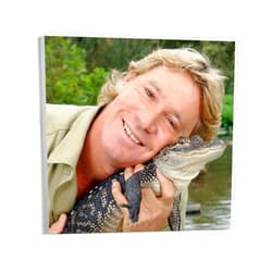 HIUBVCMML Environmental Activist Steve Irwin And Animals Live in Harmony Art Poster (1) Wall Poster Art Canvas Printing Gift Office Bedroom Aesthetic Poster 12x12inch(30x30cm) Unframe-style