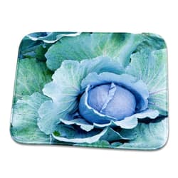 3dRose Dish Drying Mat - Cabbage, Harlow Farm, Westminster, Vermont - US46 JMO0327 - Jerry and Marcy Monkman Farms