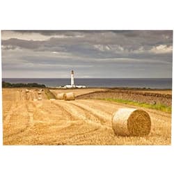 Imagekind Wall Art Print entitled Barns Ness Lighthouse Along The Coast Cove Lothia by Design Pics | 32 x 21