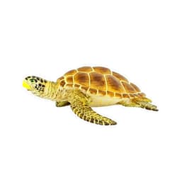 Safari Ltd. Loggerhead Turtle Figurine - Hand-Painted, Lifelike 3.75