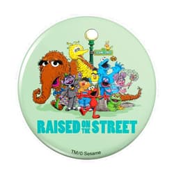 GRAPHICS & MORE Sesame Street Raised on the Street Pinback Button Pin
