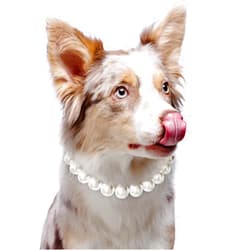 KUDES Exquisite and Adjustable Dog Necklace: Elegant Classic Pearl Collar Necklace Accessories for Dogs, Occasions and Gatherings (L(14.1-16.1 Inches))