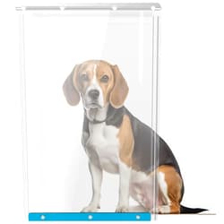 Wordcam XL Dog Door Replacement Flaps,Compatible with Ideal Pet Products Designer Series DSPRFXL RFXLN, Measures 10 1/2