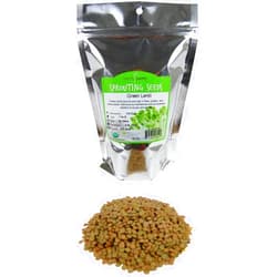 Handy Pantry Organic Dried Green Lentil Sprouting Seed: 1 Lb - Dry Lentils for Planting Garden Seeds, Soup, Cooking or Sprout Salad, Sprouts