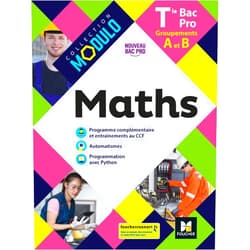 Denise Laurent,Ludivine Druel-Lefebvre,Laurent Breitbach,Hervé Gabillot,Sarah Bouyanzer,Fabien Auchère,Ludivine Selle Modulo - MATHS - Tle Bac Pro Groupements A et B - Éd. 2021 - Livre élève