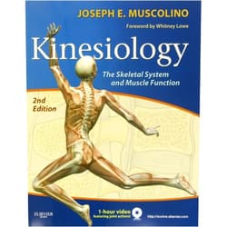 Joseph E. Muscolino DC Kinesiology: The Skeletal System and Muscle Function