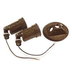 BELL Hubbell-Raco 5625-2 Combination Weatherproof Lamp Holder, 75-150 W, Par38, Metal, Bronze