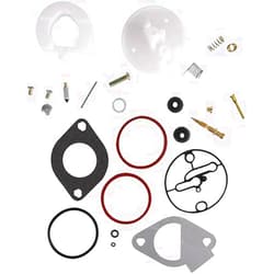 QINCUN Carburetor Repair Kits Replacement for Briggs & Stratton 796184 Master Overhaul Nikki Carbs