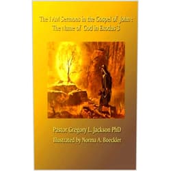 By Gregory Jackson (Author), Norma Boeckler (Illustrator) Format: Kindle Edition The I AM Sermons in the Gospel of John: The Name of God in Exodus 3