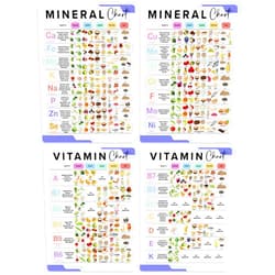 bqw Vitamin and Mineral Posters Healthy Food Chart, 4 Pieces 11