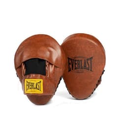 Everlast 1910 Boxing Gloves | Advanced Gloves for Men and Women | Hook and Loop with Triple-Layer Foam & Wrist Support for Injury Prevention | Heavy Bag & Speedbag Training