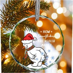 SELORY Funny Christmas Ornaments 2025,White Elephant Gifts,Stocking Stuffers for Men Women,Gag Gift for Friends Coworkers Boyfriend Family-How Snowflakes are Really Made