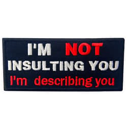 EmbTao I'm Not Insulting You I'm Describing You Funny Badge Embroidered Biker Emblem Iron On Sew On Patch
