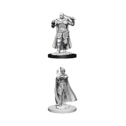 WizKids D&D Nolzur's Marvelous Miniatures - Human Ranger & Moon Elf Sorcerer