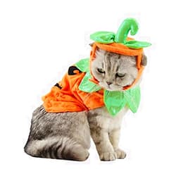 ANIAC Pet Pumpkin Costume Cat Halloween Hat Cloak Sets Puppy Poncho Dog Halloween Cosplay for Kitty Small Medium Sized Dog