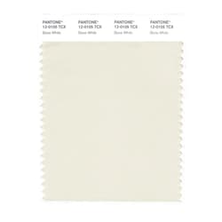 PANTONE Smart 12-0105X Color Swatch Card, Bone White