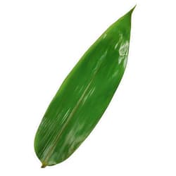Rainlily Wen Leaf Bamboo 50 Pcs Bamboo Leaf for Cooking Zongzi 4 * 14'' Banana Leaf Substitutes Making Chinese Snack Vacuum Freash Leaves Wrap Foods