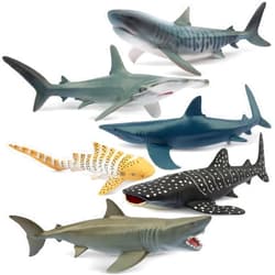 Toymany 6PC Realistic Shark Figurines Set - 5-6