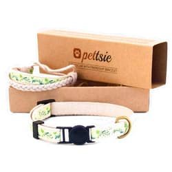 Pettsie Kitten Collar Set, Breakaway Safe Buckle, Matching Friendship Bracelet, Soft Cotton for Sensitive Skin, D-Ring for Accessories, Carton Box, Easy Adjustable 5-8 Inches Neck, Green