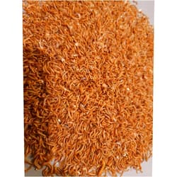 Predator Foods Bulk Live Mealworms- Medium ~.5