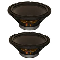Goldwood Sound, Inc. Stage Subwoofer, Heavy Duty 8ohm 12