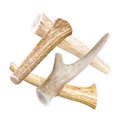 hotspot pets Deer Antlers for Dogs - 7+ Inch Large Dog Antler Chews Naturally Shed Antler Bone (4 Pack) for Large Breed Aggressive Chewers - Sourced in USA -Promotes Dental Hygiene- Rich in Calcium