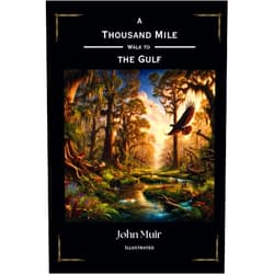 John Muir,Lambda Press A Thousand Mile Walk to the Gulf: Original Edition Illustrated