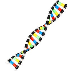 iplusmile DNA Double Helix Structure Models Kit Biological Science Popularization Teaching Aid for DNA Assembling, Educational Learning for School Student