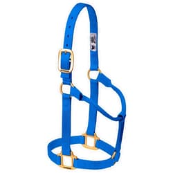 Weaver Leather Weaver Equine Nylon Horse Halter, Triple-Ply Cheek Design, Original Non Adjustable Halters for Horses, Equine Tack,Average Size, Black