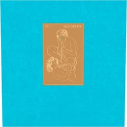 XTC (Artist) Format: Vinyl Skylarking