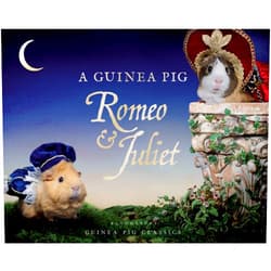 William Shakespeare,Tess Newall,Alex Goodwin A Guinea Pig Romeo & Juliet (Guinea Pig Classics)