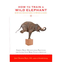 By Jan Chozen Bays MD (Author) Format: Kindle Edition How to Train a Wild Elephant: And Other Adventures in Mindfulness