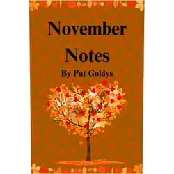 Pat Goldys November Notes