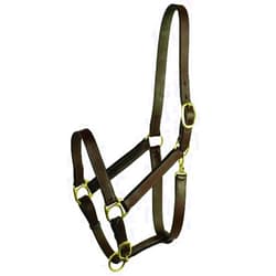 GATSBY LEATHER COMPANY 282987 Stable Halter with Snap Havanna Brown, Horse