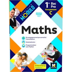 Denise Laurent,Isabelle Baudet,Ludivine Druel-Lefebvre,Laurent Breitbach,Hervé Gabillot,Marie Bouteiller,Sarah Bouyanzer,Anna Lou Modulo - MATHEMATIQUES 1re Bac Pro Groupement C - Ed. 2020 - Livre élève