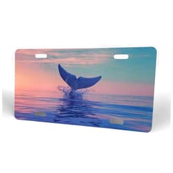 FeHuew Sunset Whale Tail License Plate Front Car Decorative Novelty Auto Plate Tag Vanity Metal Aluminum 12x6 inch Home Wall Decor